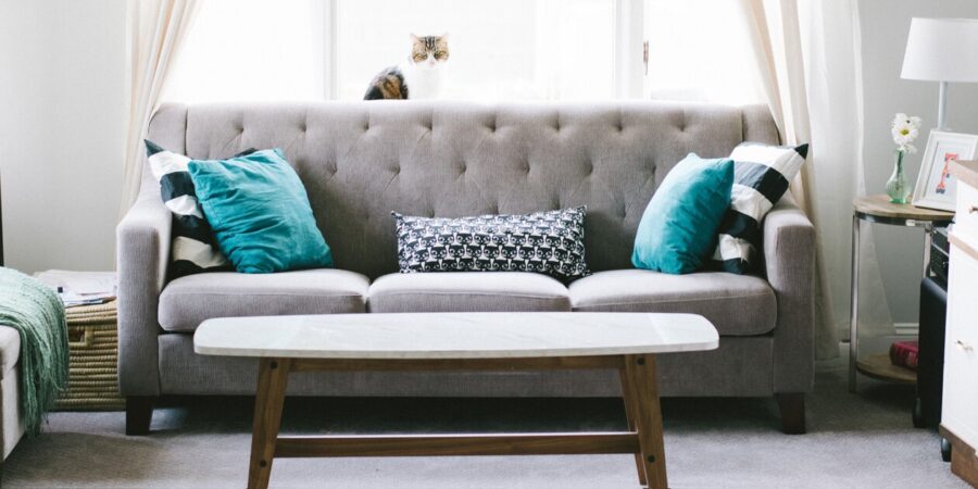 blog 2 Shopperxxmart